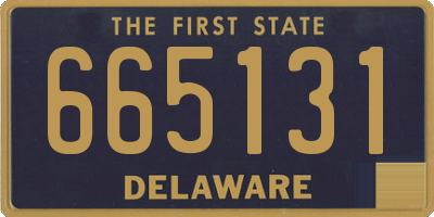 DE license plate 665131