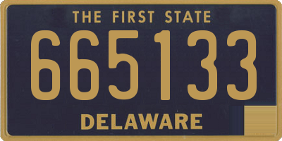 DE license plate 665133