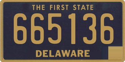 DE license plate 665136