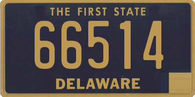 DE license plate 66514