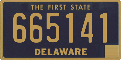 DE license plate 665141