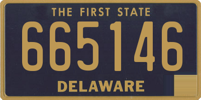 DE license plate 665146