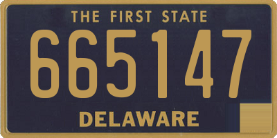 DE license plate 665147