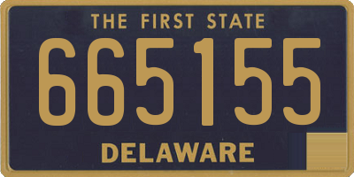 DE license plate 665155