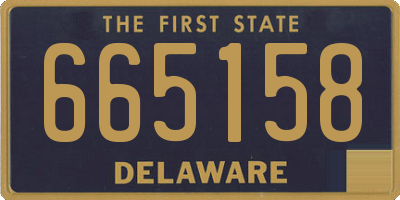 DE license plate 665158