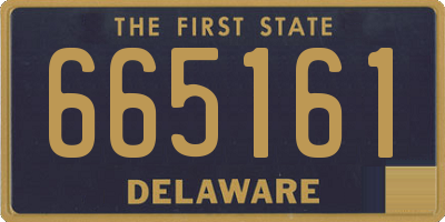DE license plate 665161