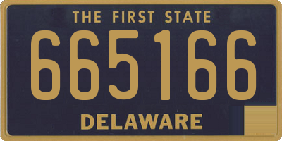 DE license plate 665166