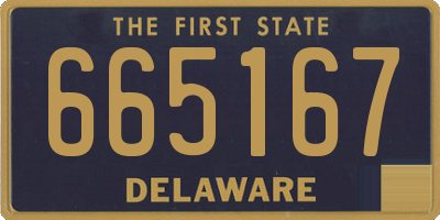 DE license plate 665167