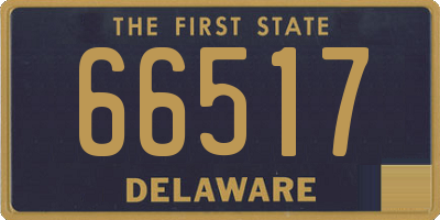 DE license plate 66517