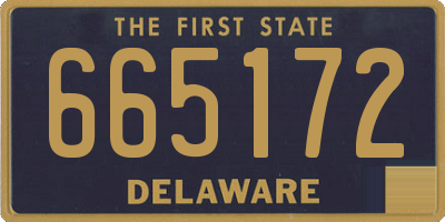 DE license plate 665172