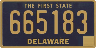 DE license plate 665183