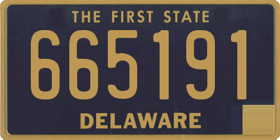 DE license plate 665191