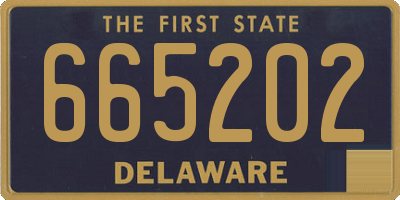 DE license plate 665202