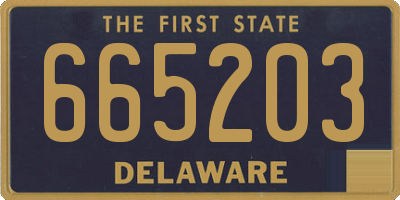 DE license plate 665203