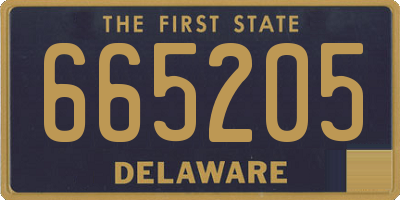 DE license plate 665205