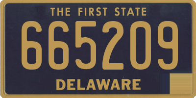 DE license plate 665209