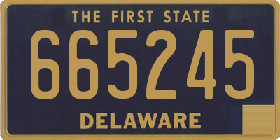 DE license plate 665245