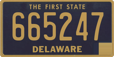 DE license plate 665247