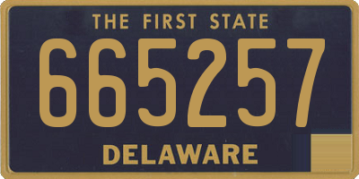DE license plate 665257