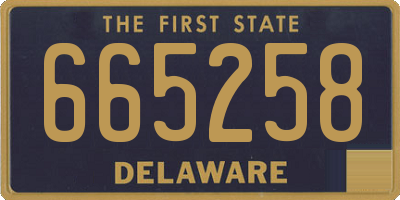 DE license plate 665258