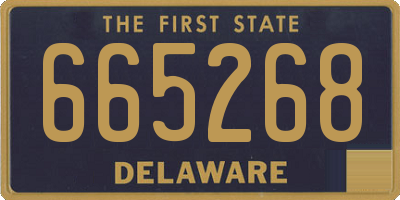 DE license plate 665268