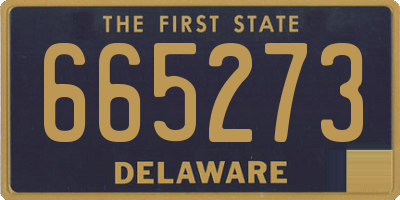 DE license plate 665273