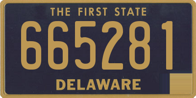 DE license plate 665281