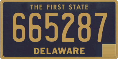 DE license plate 665287