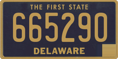 DE license plate 665290