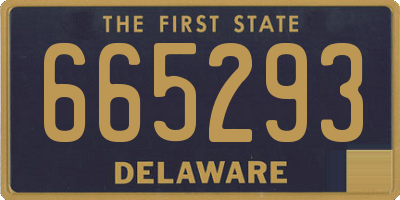 DE license plate 665293