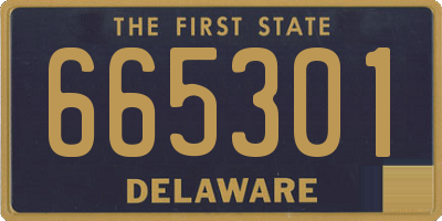 DE license plate 665301