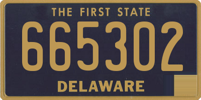 DE license plate 665302