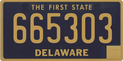 DE license plate 665303