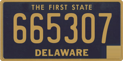 DE license plate 665307