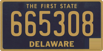 DE license plate 665308