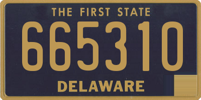 DE license plate 665310