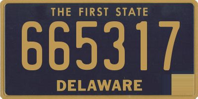 DE license plate 665317