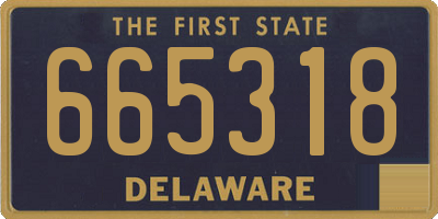 DE license plate 665318