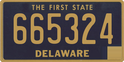DE license plate 665324