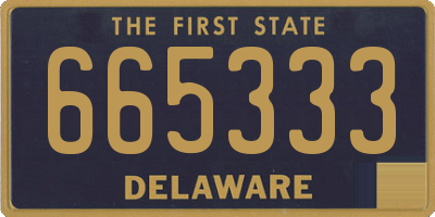 DE license plate 665333