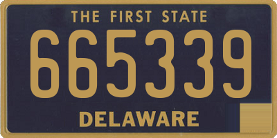 DE license plate 665339