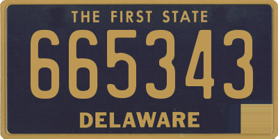 DE license plate 665343