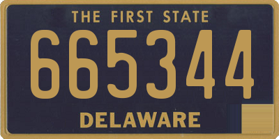 DE license plate 665344