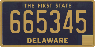 DE license plate 665345