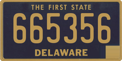 DE license plate 665356