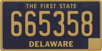 DE license plate 665358