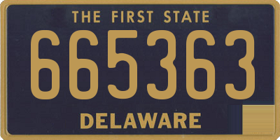 DE license plate 665363