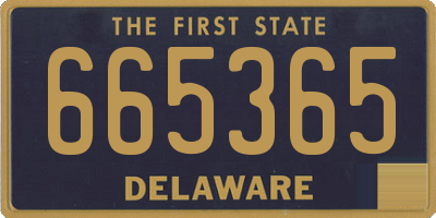 DE license plate 665365