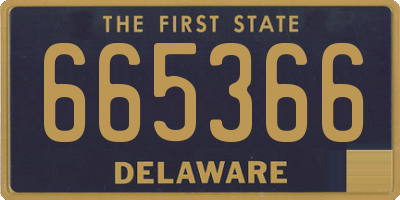 DE license plate 665366