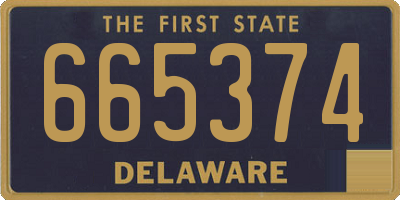 DE license plate 665374